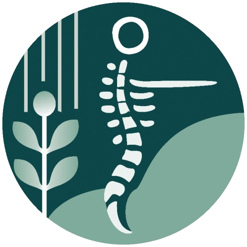 ChiroCare Kadıköy Kayropraktik Logo